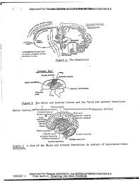 Declassified Cia Explains Consciousness The Matrix How World Is A Hologram Telepathy The Impious Digest Consciousness Intuitive Empath Matrix