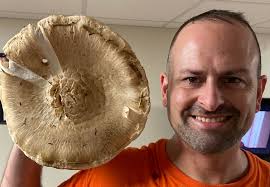 What to do with matsutake mushrooms?