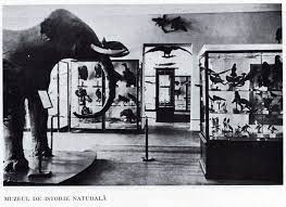 Frequently asked questions about muzeul de istorie naturala. Muzeul De Istorie NaturalÄƒ Din IaÈ™i