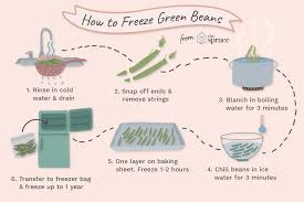 Maybe you would like to learn more about one of these? How To Blanch And Freeze Green Beans
