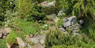 Rock it dumper is fast & easy. Boulder And Rock Selection Placement Landscaping Network