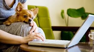 But animals are not able to express pain as easily, causing them to suffer without relief. 7 Small Pets That Could Be Right For You Everyday Health