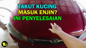 Punca kucing duduk atas bumbung, kereta api terkandas lebih 2 jam. Buat Kucing Cara Supaya Tak Masuk Dalam Bonet Enjin Kereta Youtube