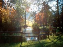 Grand est (lorraine) département : Jardin Botanique Jean Marie Pelt Comite Des Parcs Et Jardins De France