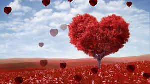 Mama Alles Gute Zum Geburtstag Ich Liebe Dich Youtube