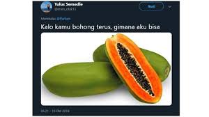 Maybe you would like to learn more about one of these? 7 Pelesetan Receh Nama Nama Buah Ini Bikin Tepuk Jidat Hot Liputan6 Com