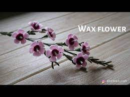 Felt Flowers Diy How To Make Wax Chamelaucium Felt Flower Tutorial Felt Diy English Sub Youtube In 2020 Felt Flowers Diy Felt Flower Tutorial Felt Flowers