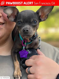 Missing baby in San Jose area