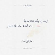pin on ابيات شعرية واقتباسات عالم الأدب
