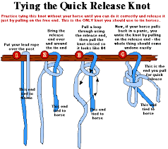 Simple Instructions For A Quick Release Knot Horse Care Horse Information Horse Tips