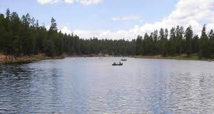 Mountain biking mountain biking in white mountains; Northwoods Cabins Pinetop Lakeside Arizona Pinetop Cabins