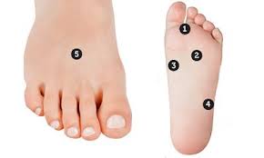 Pin On Healing