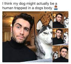 24 Really Funny Memes That Make You Cry With Laughter Cute Funny Animals Really Funny Memes Funny Animal Memes