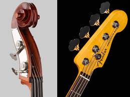 Check spelling or type a new query. 60 Years Of Bass Evolution T Blog