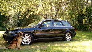 william thieme s 1998 audi a4 on wheelwell