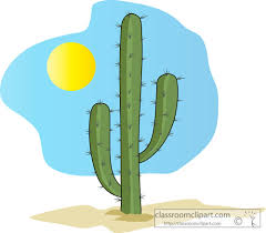 Best collections of cactus transparent clipart (203). Cactus Clipart Clear Background Cactus Clear Background Transparent Free For Download On Webstockreview 2021