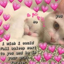 Cute Love Memes For Him Cute Amizades Mundorosa Ilhadogovernador Funny Couples Memes Cute Love Memes Love Memes