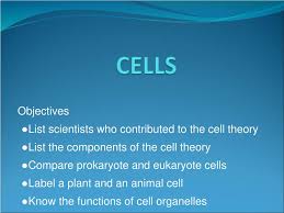 Maybe you would like to learn more about one of these? Ppt Objectives List Scientists Who Contributed To The Cell Theory Powerpoint Presentation Id 6562451