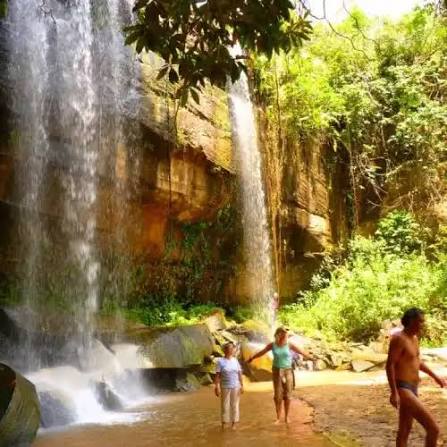 Shimba Hills 1-day tour with Sheldrick Falls hike from Mombasa | Trip.com