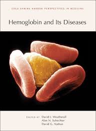 Image result for Hemoglobin
