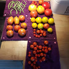 Recolte Du Jour Jardin Tomate Haricotvert Fraise Jardinage Fruits Legumes Vegetables Tomato Food