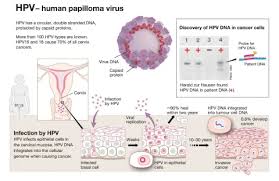 Image result for human papillomavirus symptoms