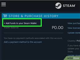 Steam wallet codes work just like gift cards which can be redeemed on your account for steam wallet credit and used for the purchase of games, software and any other item you can purchase on if you need help with a steam wallet code purchased directly from paypal, please contact paypal help. Simple Ways To Put Money On Steam 10 Steps With Pictures