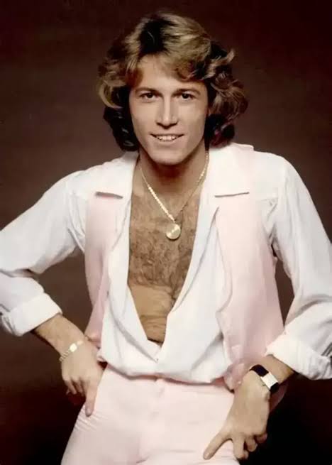 Andy Gibb (Music) - TV Tropes