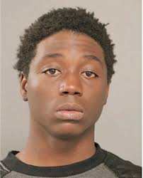 ᐅ Illinois Criminal Records 2009-2025