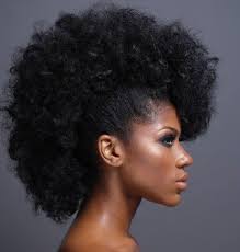 Top Ten Dmv Natural Hair Salons And Stylists Embrace Natural Hair Natural Afro Hairstyles Natural Hair Inspiration