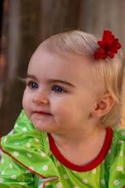 Jennifer Hamilton Photography, Gadsden, AL 35904, US