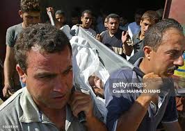 35 Abush Stock Photos, High-Res Pictures, and Images