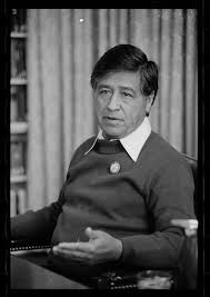Free teacher answer keys reading passages with. Cesar Chavez Third Grade Reading Passage