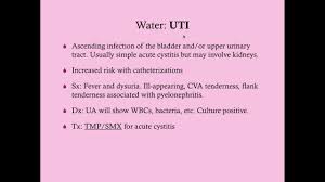 Image result for Postpartum Fever