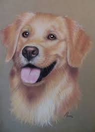 Dogs Drawing Golden Retriever 51 Ideas Dogs Drawing Golden Ideas Retriever In 2020 Dog Drawing Golden Retriever Painting Cute Puppies Golden Retriever