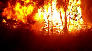 Um incêndio é uma ocorrência de fogo não controlado, que pode ser extremamente perigosa para os seres vivos e as estruturas. Isolabella 21 Agosto Incendio In Val Di Susa Fuoco Tra Gli Alberi