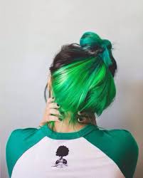 Hair And Other Musings Shades Of Black Hair Hair Color Underneath Hidden Hair Color Underdye Hair