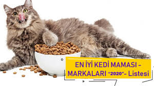 En Iyi Kedi Mamasi 2020 En Iyi Kedi Mamasi Markalari