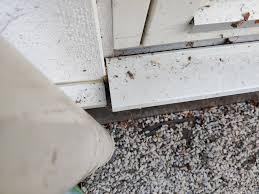 Image result for site:byggahus.se elitefönster