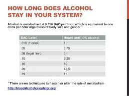 We did not find results for: For How Long Does Beer Stay In Your System How To Avoid It Quora