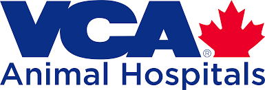 Bewerben sie sich direkt online! Rvt Vca Kew Beach Animal Hospital Ontario Association Of Veterinary Technicians