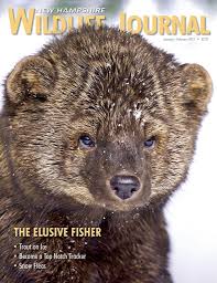 Nhfg January February 2017 Nh Wildlife Journal Magazine Featuring The Fisher Wildlife February 2017 February