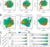 ProT-VAE: Protein Transformer Variational AutoEncoder for ...
