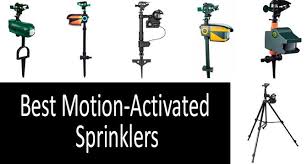 Best Motion Activated Sprinklers In 2021 That Actually Work Buyer S Guide