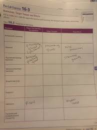 Solved Pre Lab Exercise 16 3 Section Date Hormones Targe