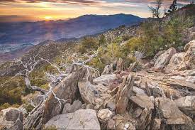 As far as i know, the cactus to clouds route up mt. Palm Springs Hiing Scaling New Heights