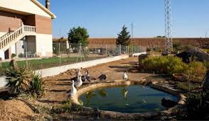 We design , build , plant , maintain, install filtration and repair duck ponds in surrey, west sussex and hampshire. How To Keep A Duck Pond Clean 10 Tips And Tricks Farmhouse Guide