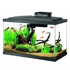 Get your betta tank design off to a good start with an aquarium kit full of all the essentials to keep your new pet fish happy and healthy… 7 Best Betta Fish Tank What To Know Before Buying Fishkeeping World