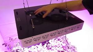 Viewsonic, christie digital, hitachi, sanyo, eiki, vivitek Xml350 Led Grow Light Youtube