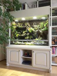 Paludarium Als Orchideenvitrine Mit Wasserfall Bachlauf Und Kleinen Tumpeln Terrarium Bartagamen Terrarium Lebensraum
